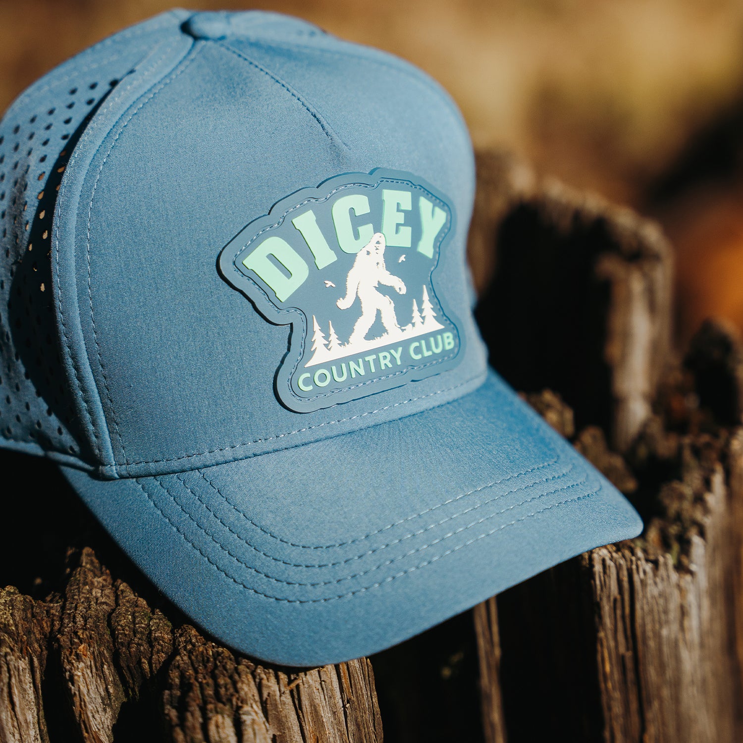 Frozen Summit Mesh Hat