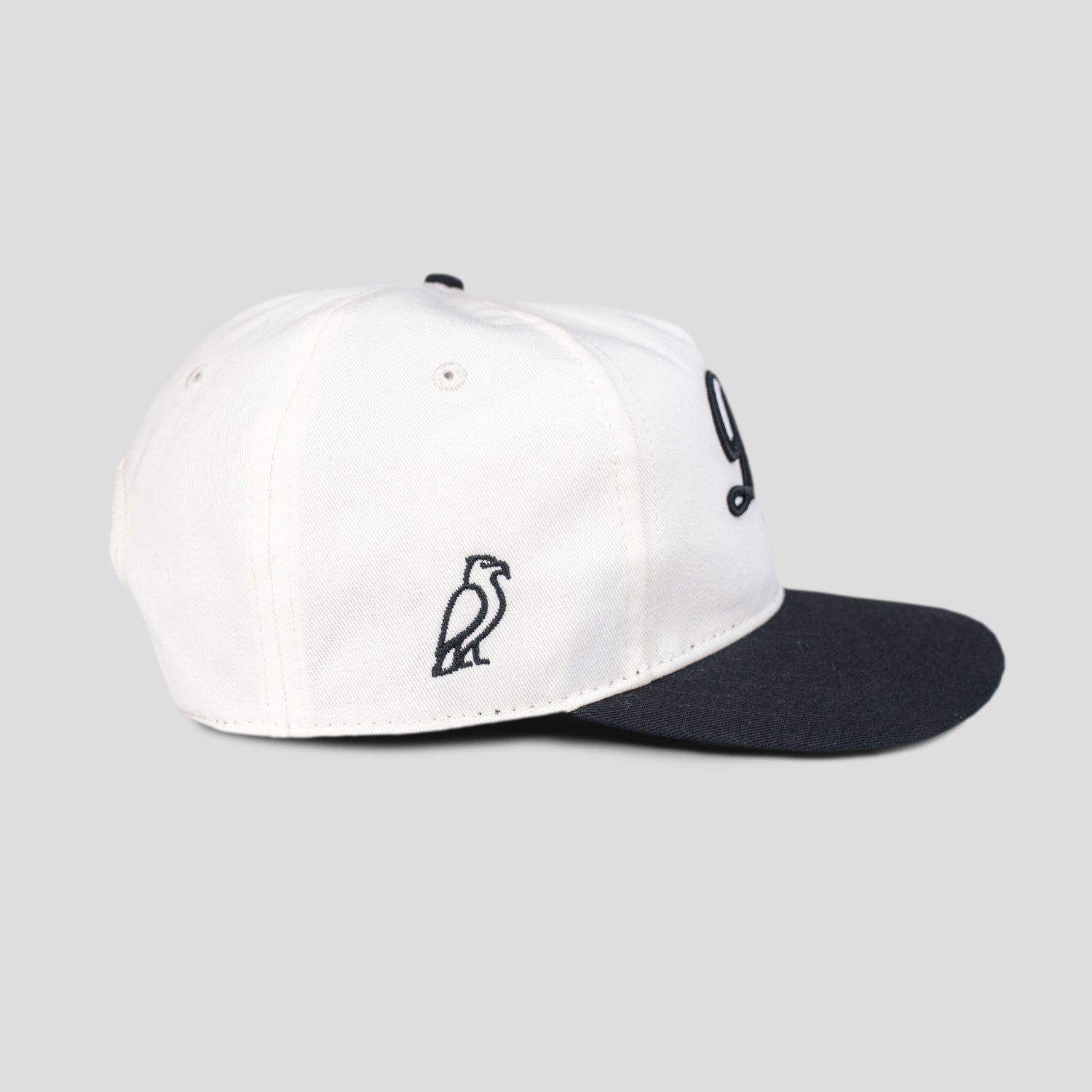 Dicey Signature Black Snapback
