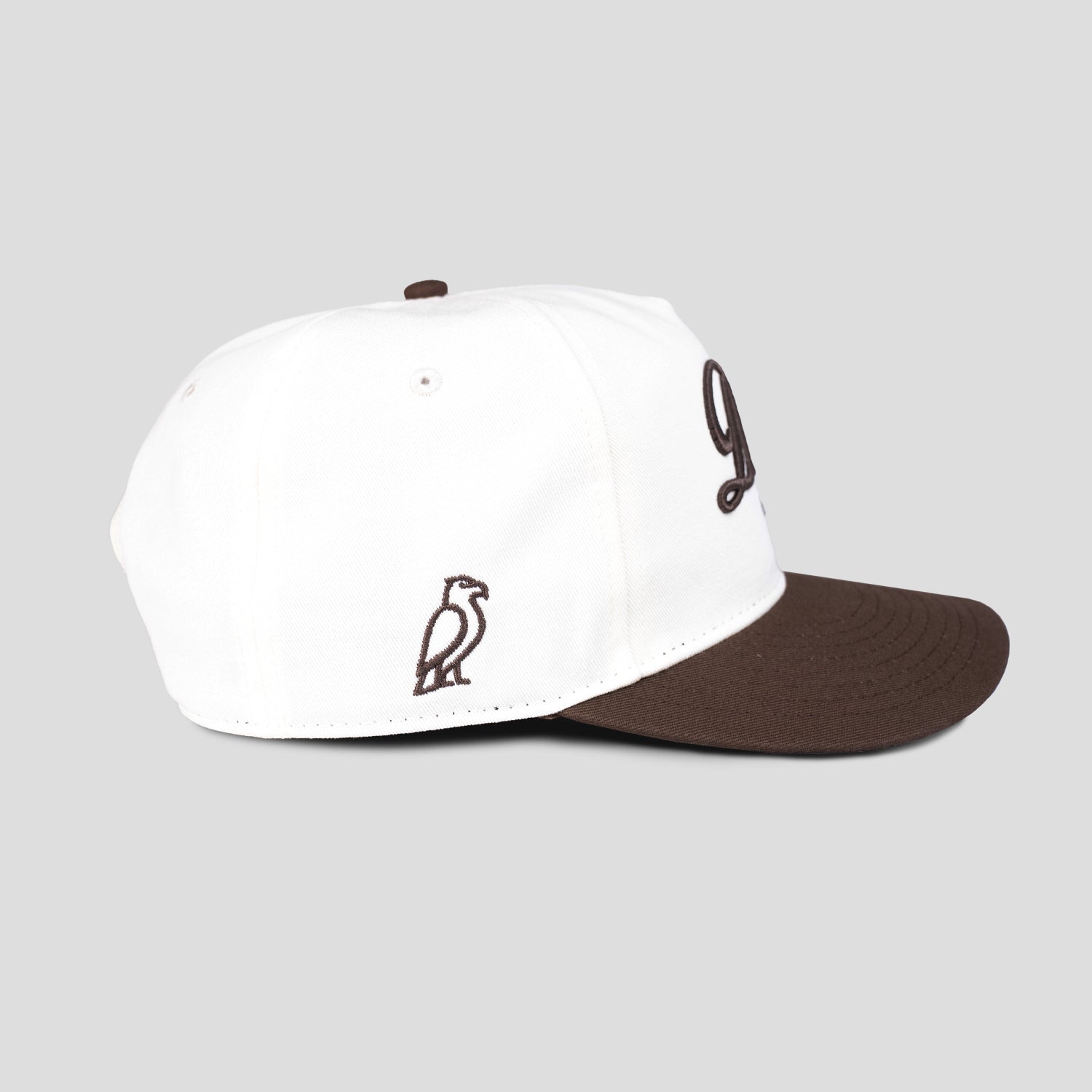 Dicey Signature Brown Snapback