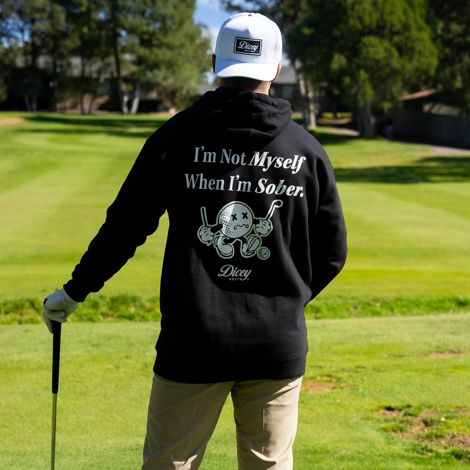 "I'm Not Myself When I'm Sober" Hoodie