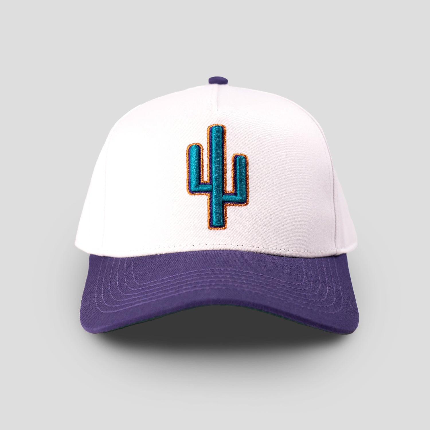 Retro Saguaro Hat
