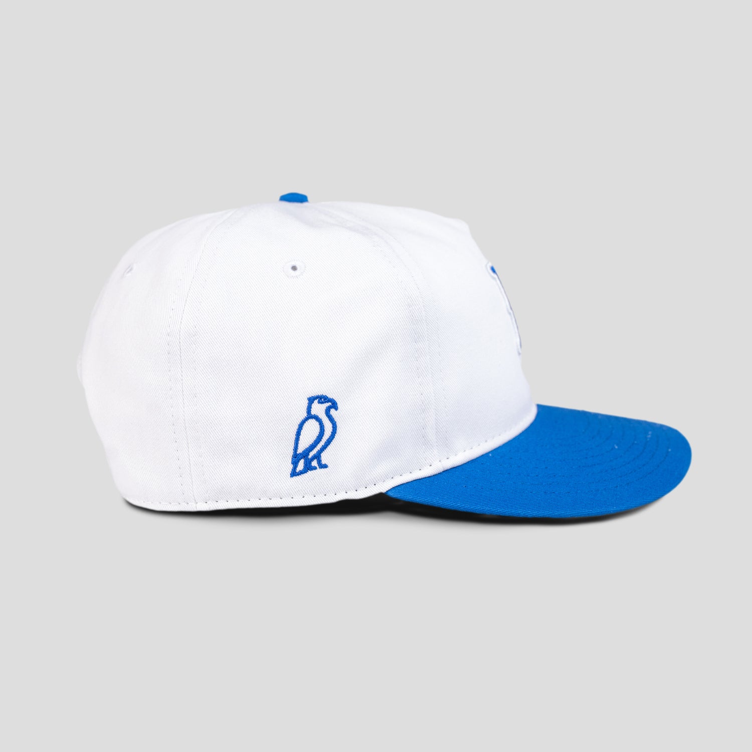 Clear Skies Snapback