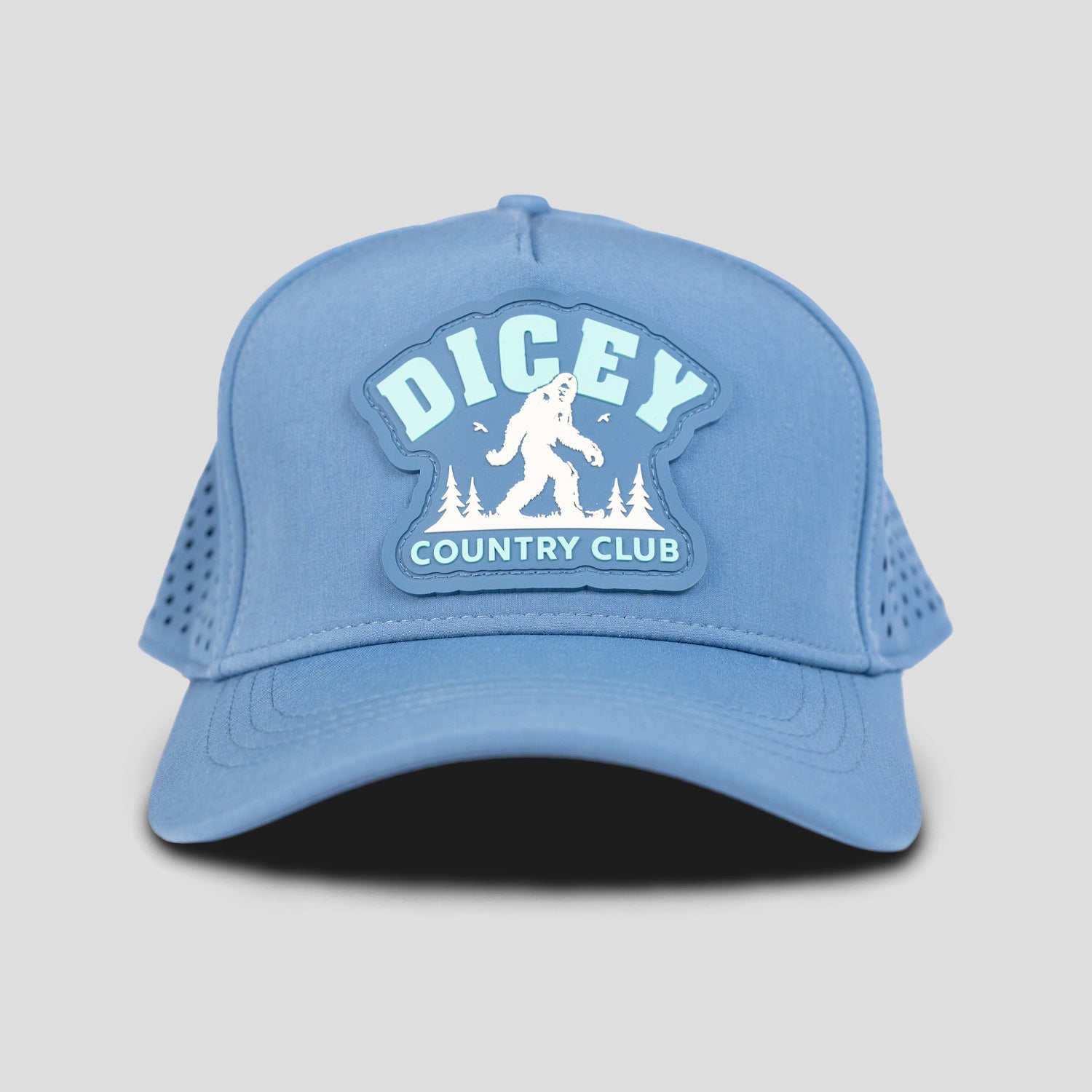 Frozen Summit Mesh Hat