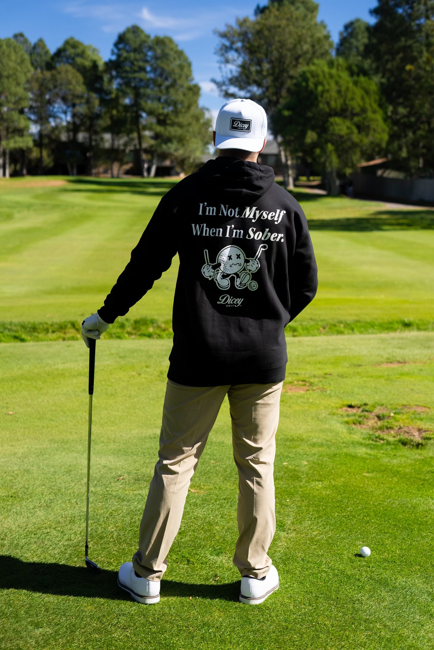 "I'm Not Myself When I'm Sober" Hoodie