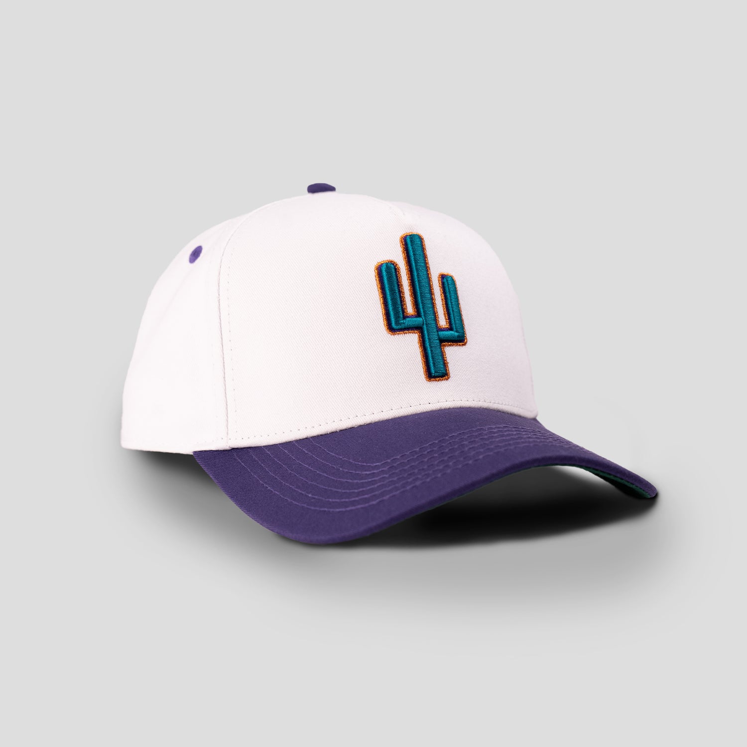 Retro Saguaro Hat