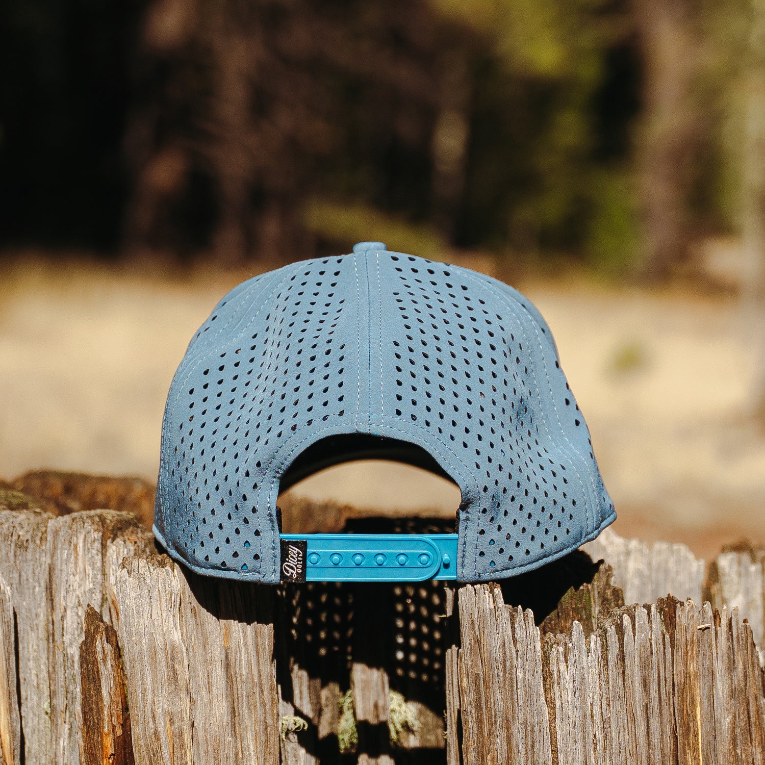 Frozen Summit Mesh Hat