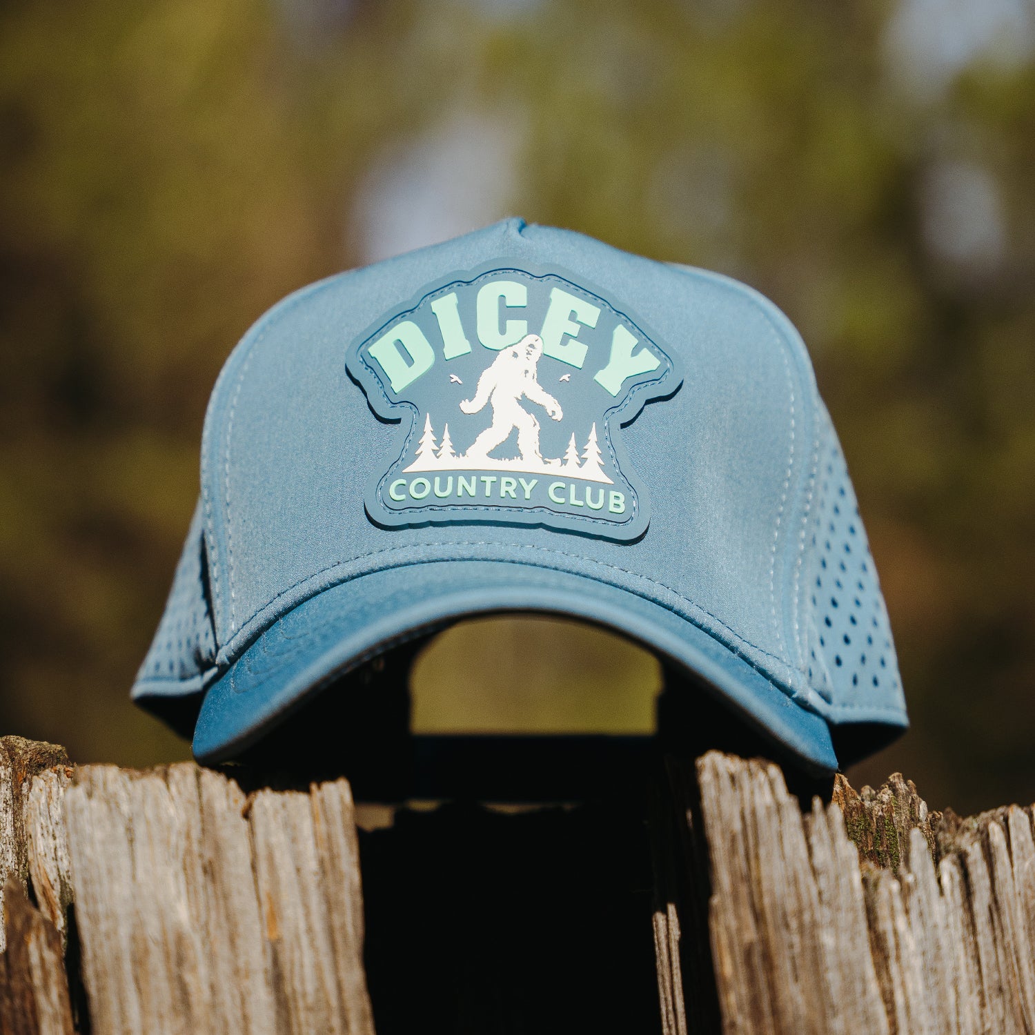 Frozen Summit Mesh Hat